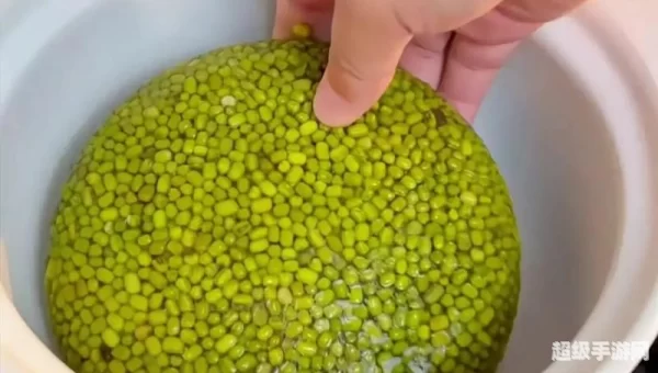 为什么煮出来的绿豆汤蚂蚁庄园