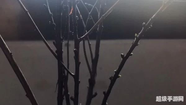 小绿点