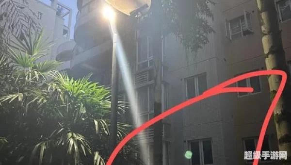 小绿点