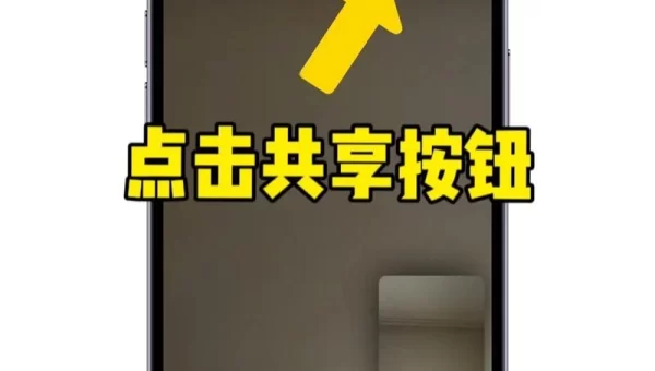 视频共享