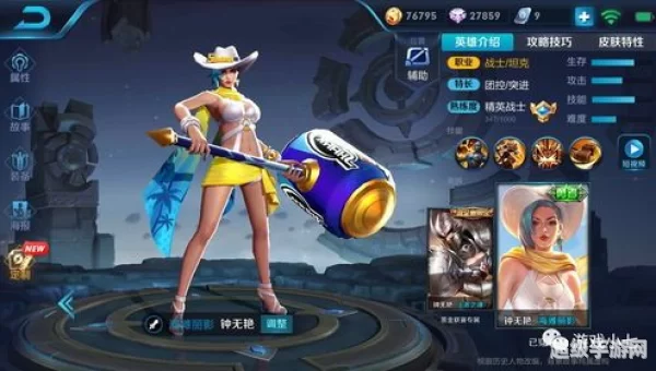 王者荣耀P衣软件